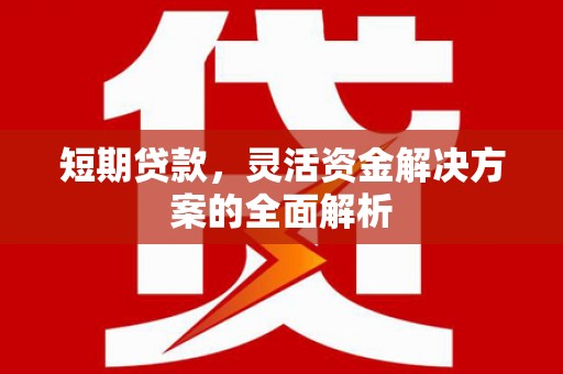 呼图壁短期贷款，灵活资金解决方案的全面解析