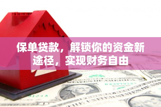 龙陵保单贷款，解锁你的资金新途径，实现财务自由