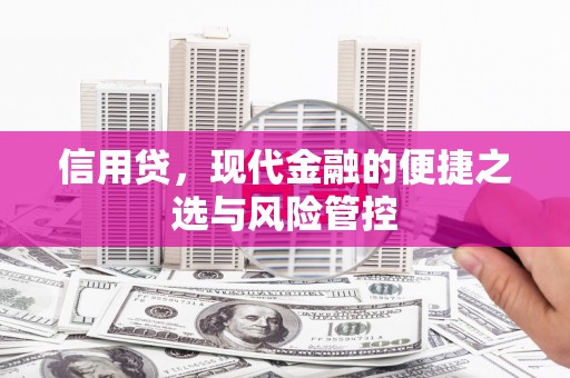 正阳信用贷，现代金融的便捷之选与风险管控