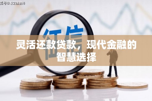 开县灵活还款贷款，现代金融的智慧选择