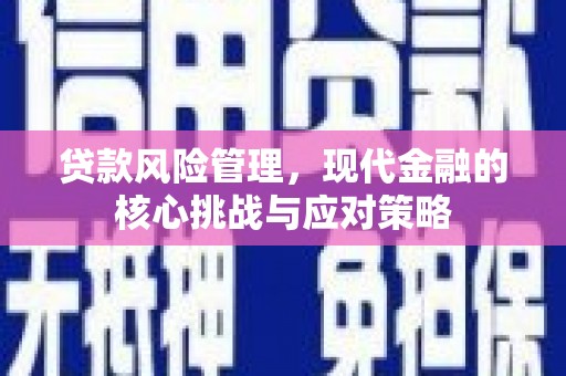 临潼贷款风险管理，现代金融的核心挑战与应对策略