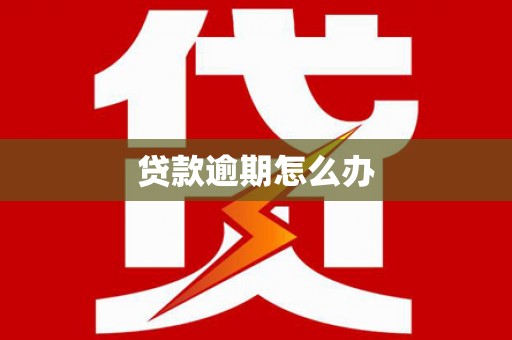 临高贷款逾期怎么办
