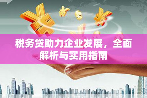 梁山税务贷助力企业发展，全面解析与实用指南