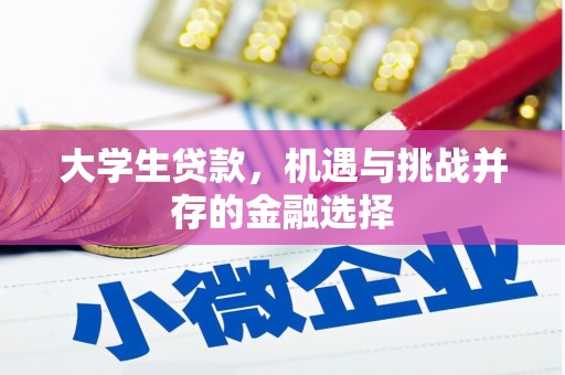 伸港大学生贷款，机遇与挑战并存的金融选择