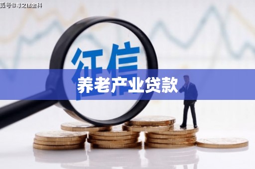 长武养老产业贷款