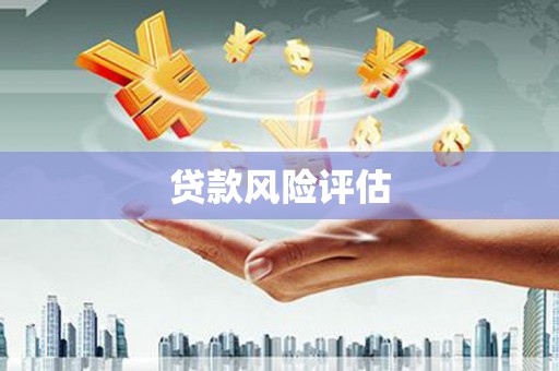 莲都贷款风险评估