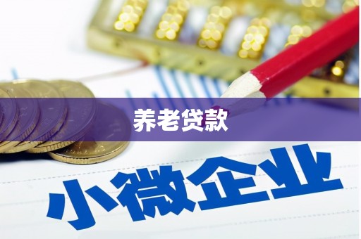 镇海养老贷款