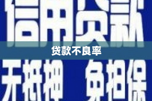 绥中贷款不良率