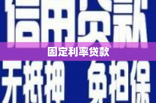 隆安固定利率贷款