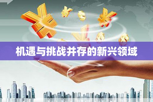 张掖机遇与挑战并存的新兴领域