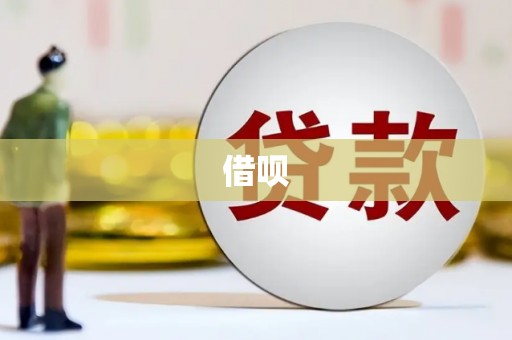 龙陵借呗