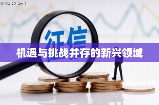 图们机遇与挑战并存的新兴领域