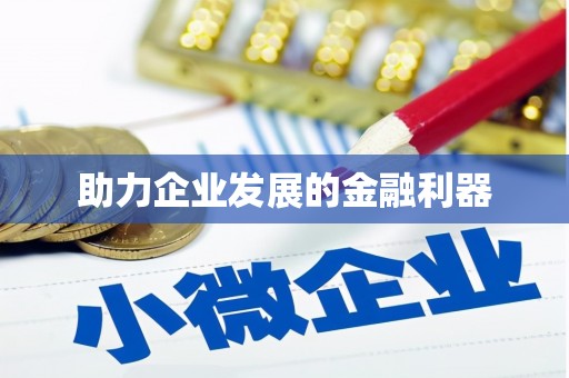 文峰助力企业发展的金融利器