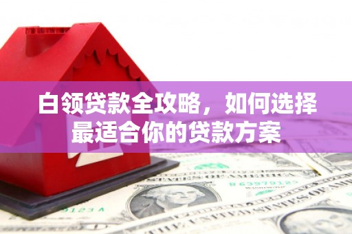 泸水白领贷款全攻略，如何选择最适合你的贷款方案