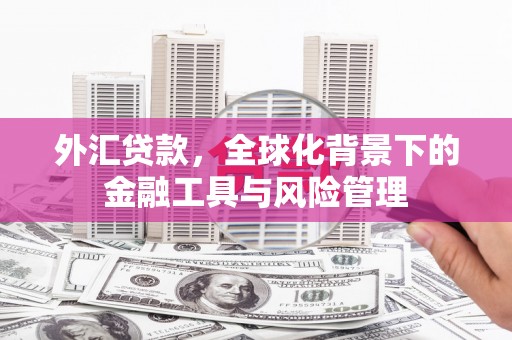 滦南外汇贷款，全球化背景下的金融工具与风险管理